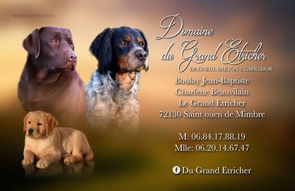 https://dugrandetricher.chiens-de-france.com/epagneul-breton,du-grand-etricher,rubrique_32155_58591_1_0.html