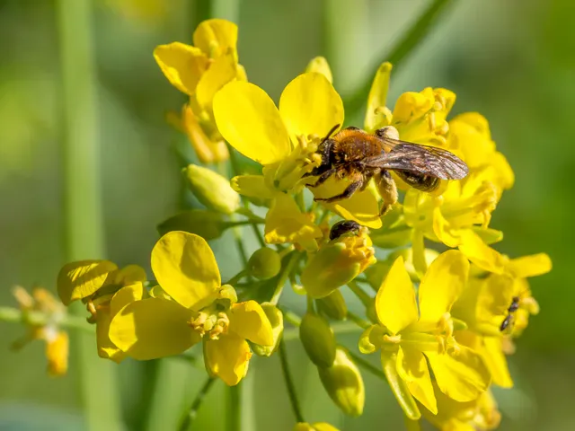 Une très bonne nouvelle
