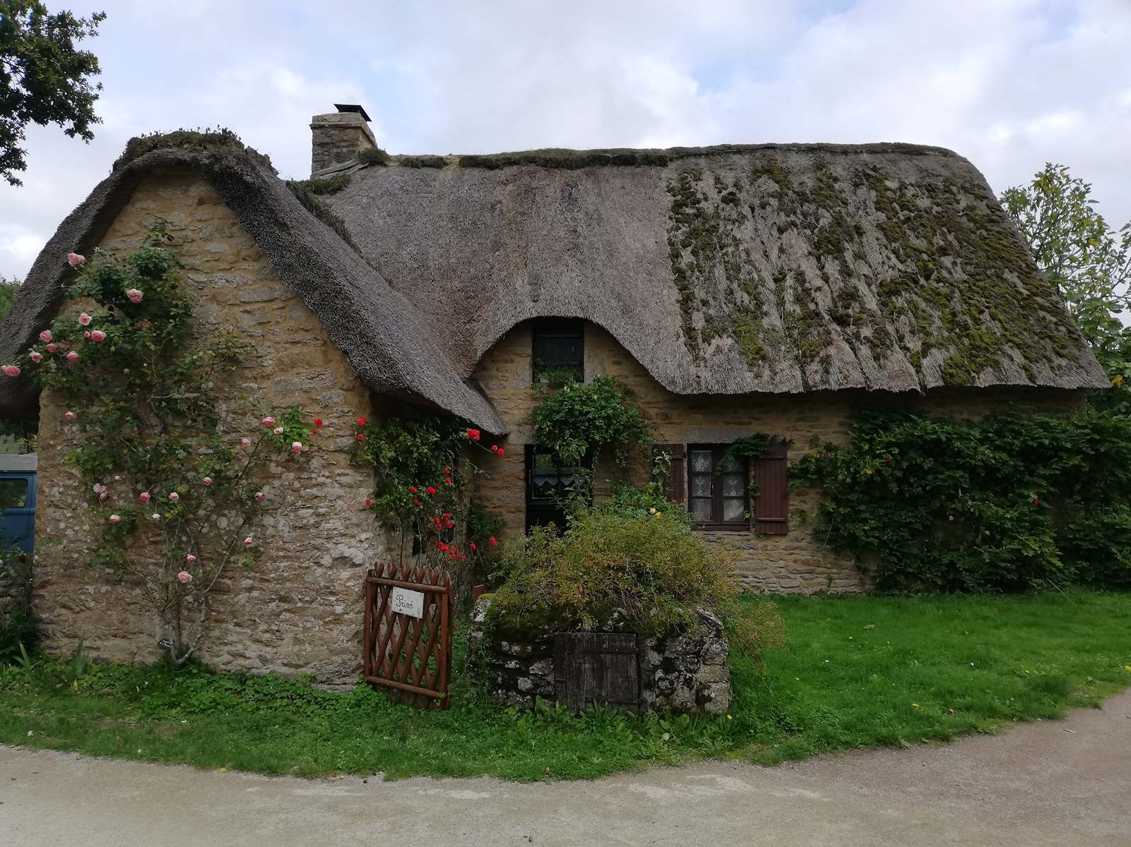 Img 20191012 172747