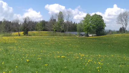20180507 123804