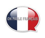 Lart et la maniere de parler francais