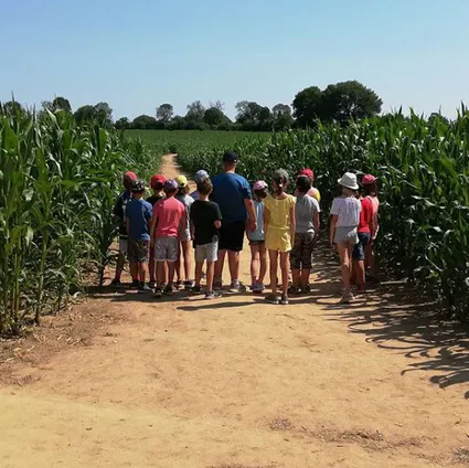 2019 10 30 10 26 04 window