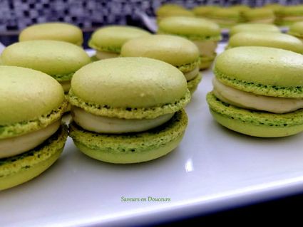 Macarons citron vert basilic 2fb