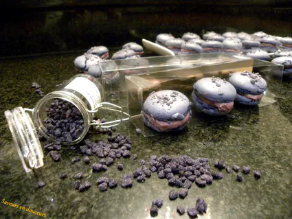 Macarons violette fb
