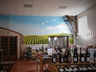 Vins fresque