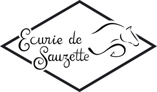 Logo Sauzette final