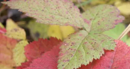 Jardin helene automne hiver 6 mainstory2