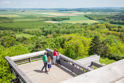 Tour observatoire plateau californie horizon bleu 14