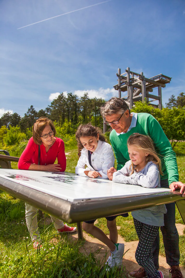 Tour observatoire plateau californie horizon bleu 7