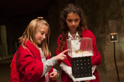 Caverne du dragon horizon bleu 2