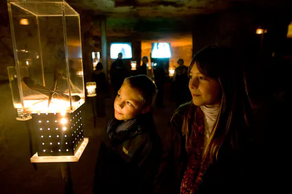 Caverne du dragon fx dessirier 3