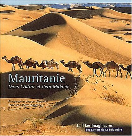 Sahara Mauritanie 2cv dunes gps de sert Cyril et Sylvie Mauritanie 3