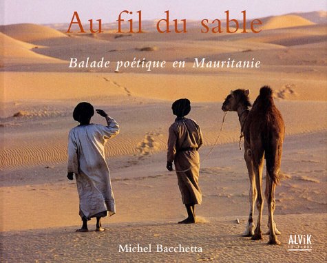 Sahara Mauritanie 2cv dunes gps de sert Cyril et Sylvie Au fil du sable