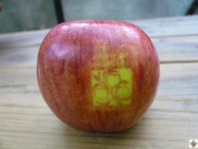 Bagnolet et les pommes marquées
