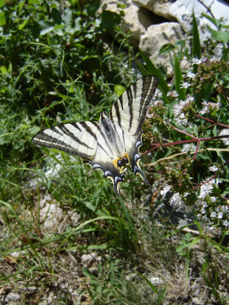 2013 08 11 23 06 14