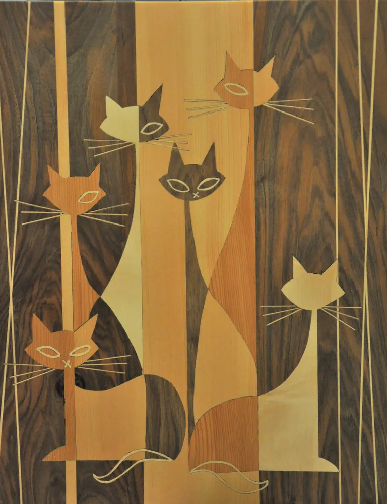 Image modififier les chats