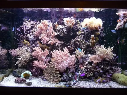 23839 1398630691553 1489582 n