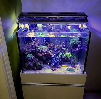 62334 10202763839354452 1207304740 n 1