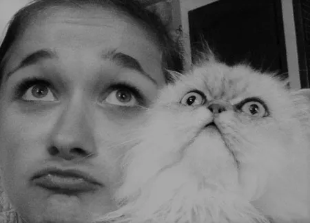 Comment bien communiquer avec son chat ?