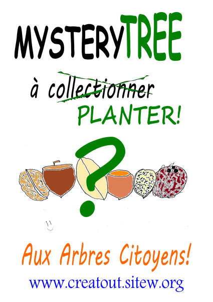 Mystery Tree etiquette site