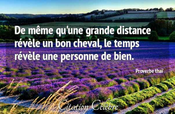 Proverbe thai 45312