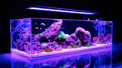 0546c31db9a3c15e4bc2f0bfc3344f04