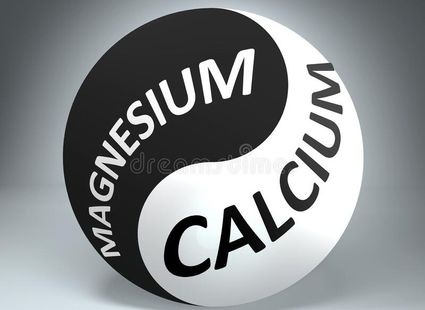 Magnesium calcium balance pictured as words yin yang symbol to show harmony d illustration 171544266