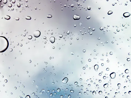 Macro shot photography of water drops 1028600