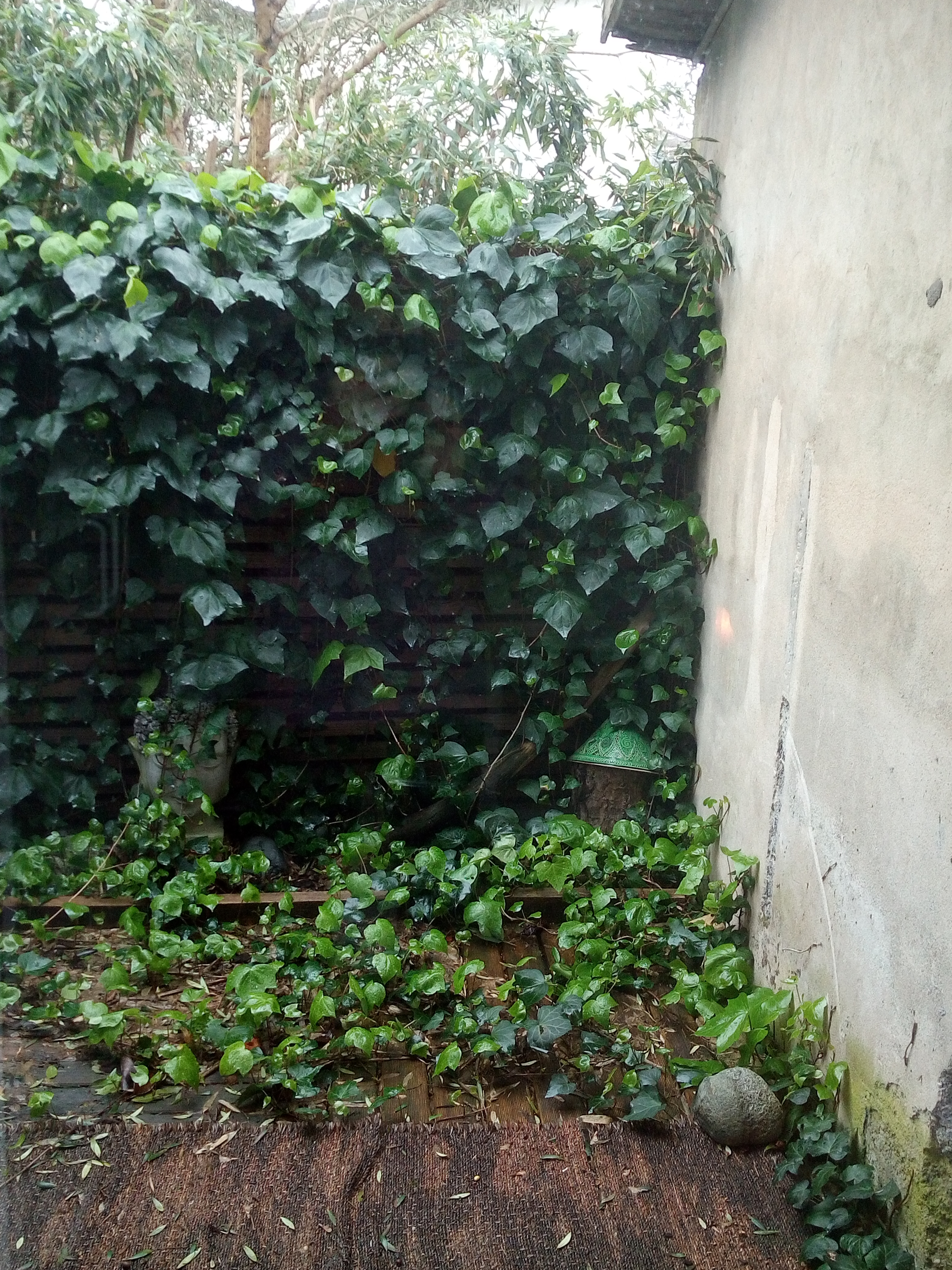 IMG 20200310 082255635