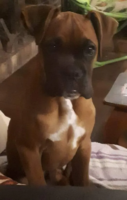 Fb img 1583534654554