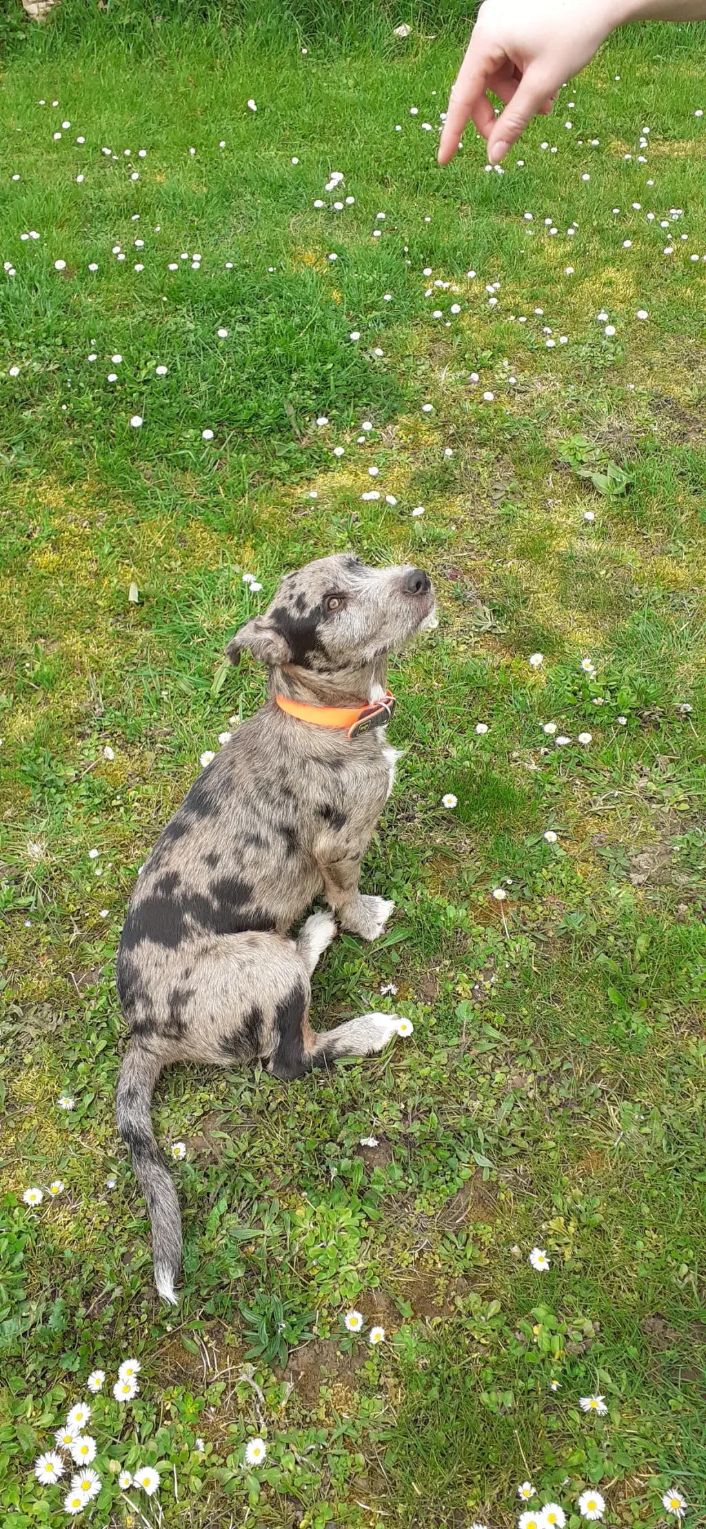 Inbound8143574914497749167