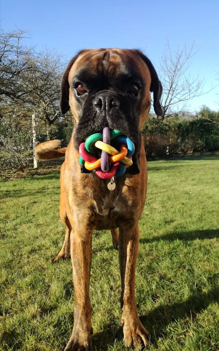 Received 484500692446323