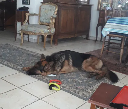 Resized 20200318 1059081