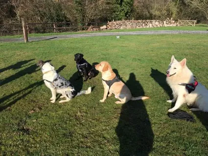 Received 2561631240774287