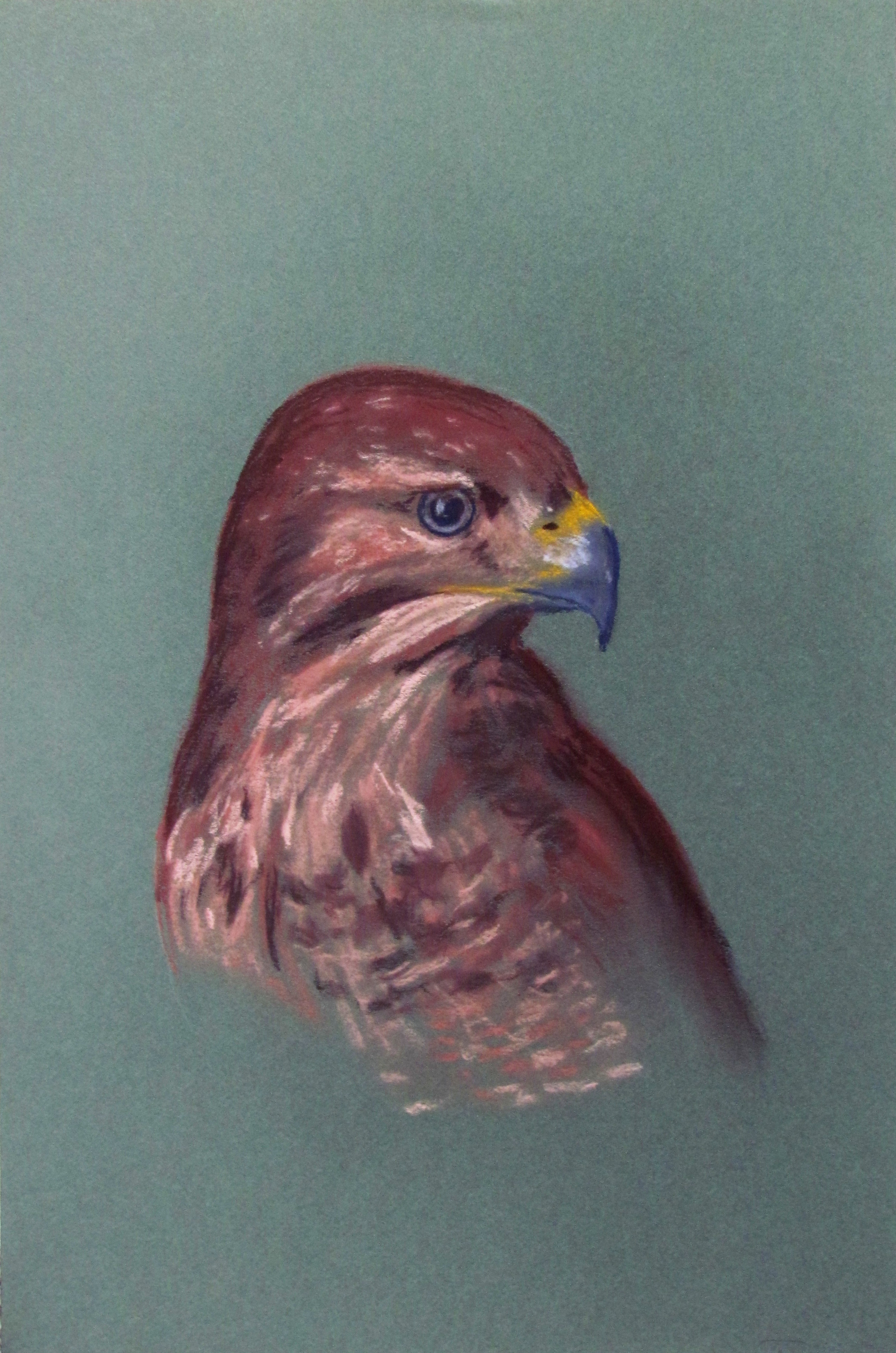 Buse variable