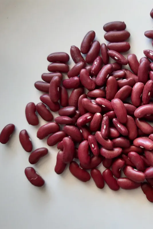 Manger des légumineuses, bon pour la santé et pour la planète