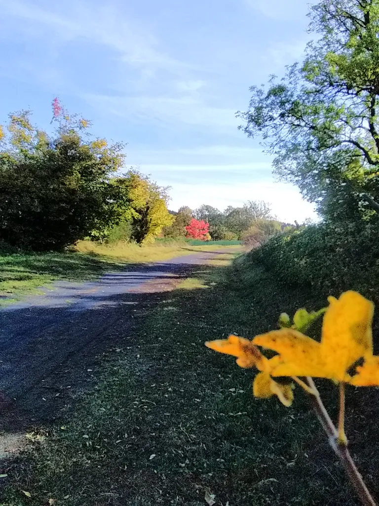 Img 20191016 152600 2