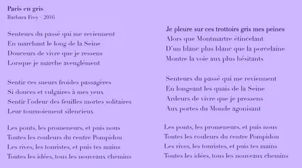Image paris en gris