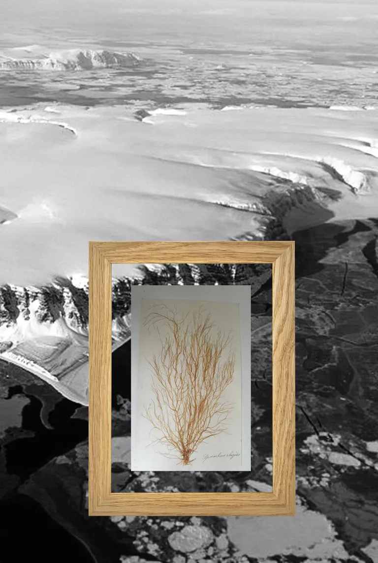 Paysage 1