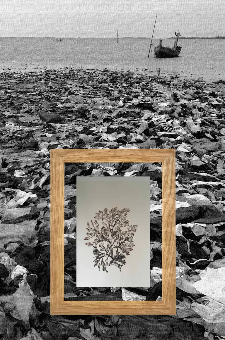 Paysage 2