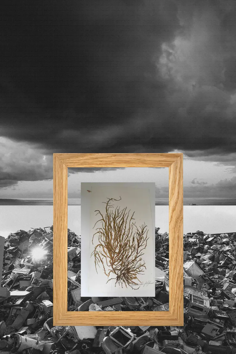 Paysage 7