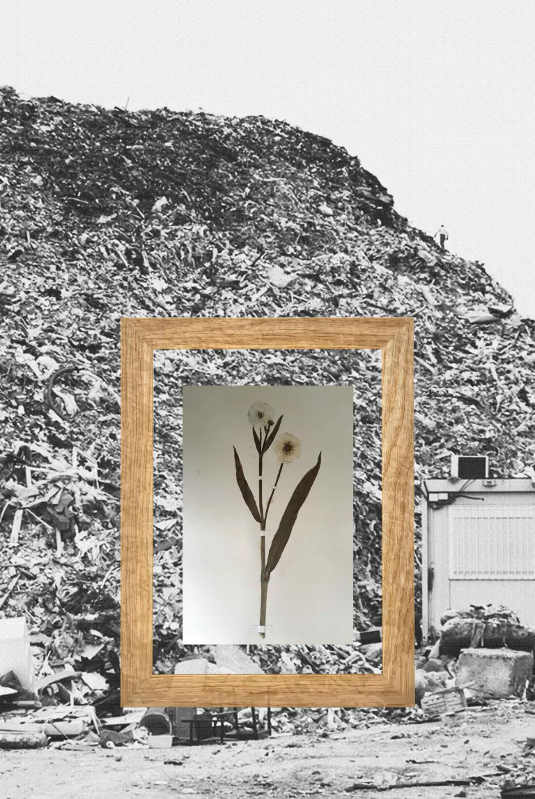 Paysage10