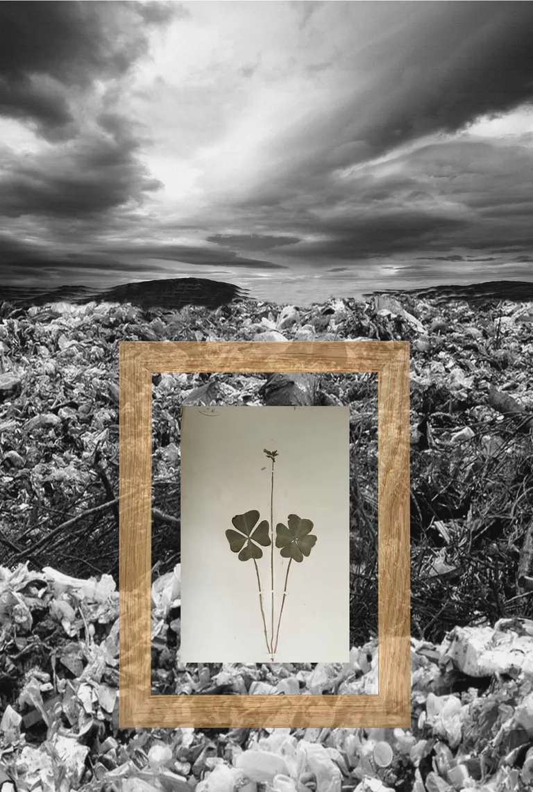 Paysage11
