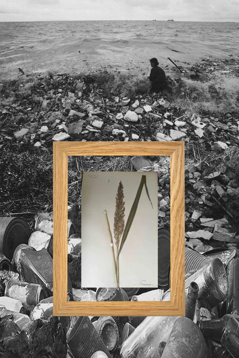 Paysage 14