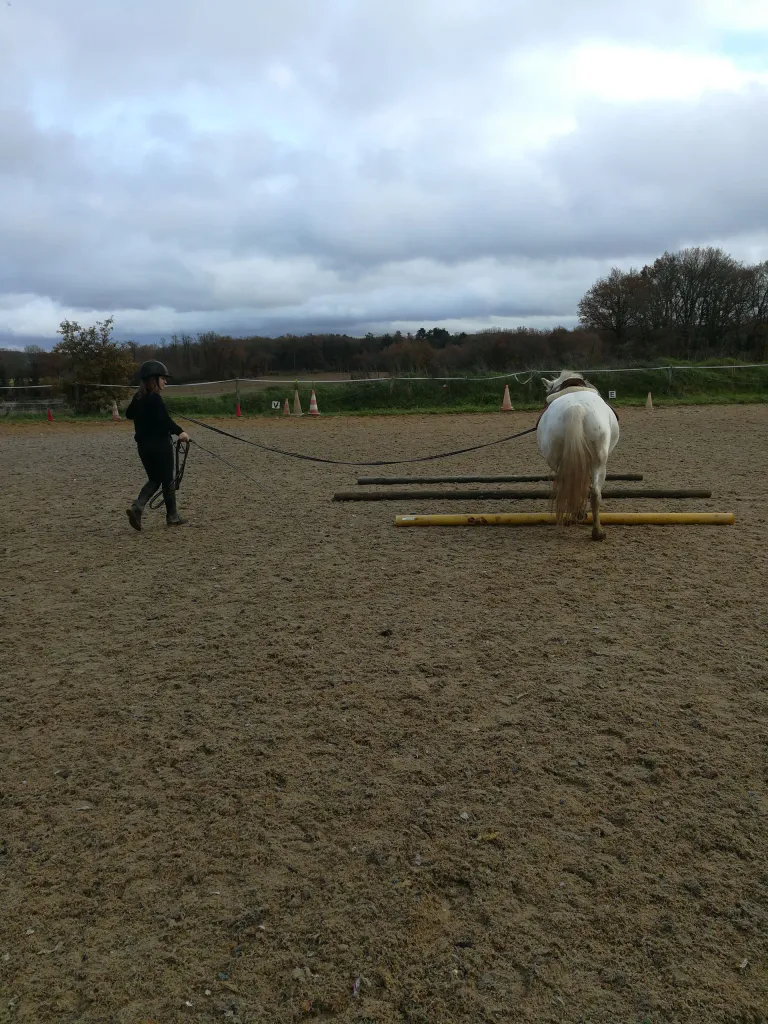 Img 20191207 152202 burst002