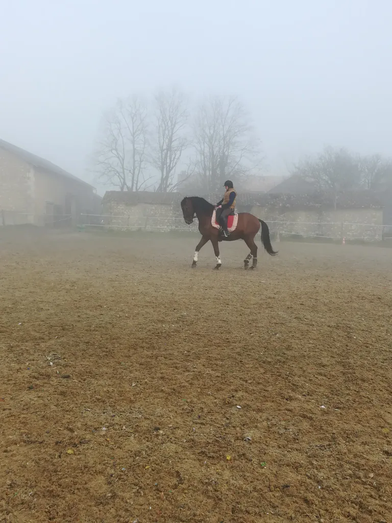 Img 20191230 120449 3