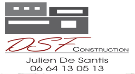 Logo DSF Copie