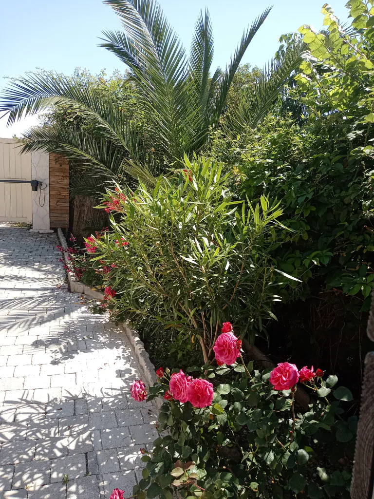 Img 20200519 152341139