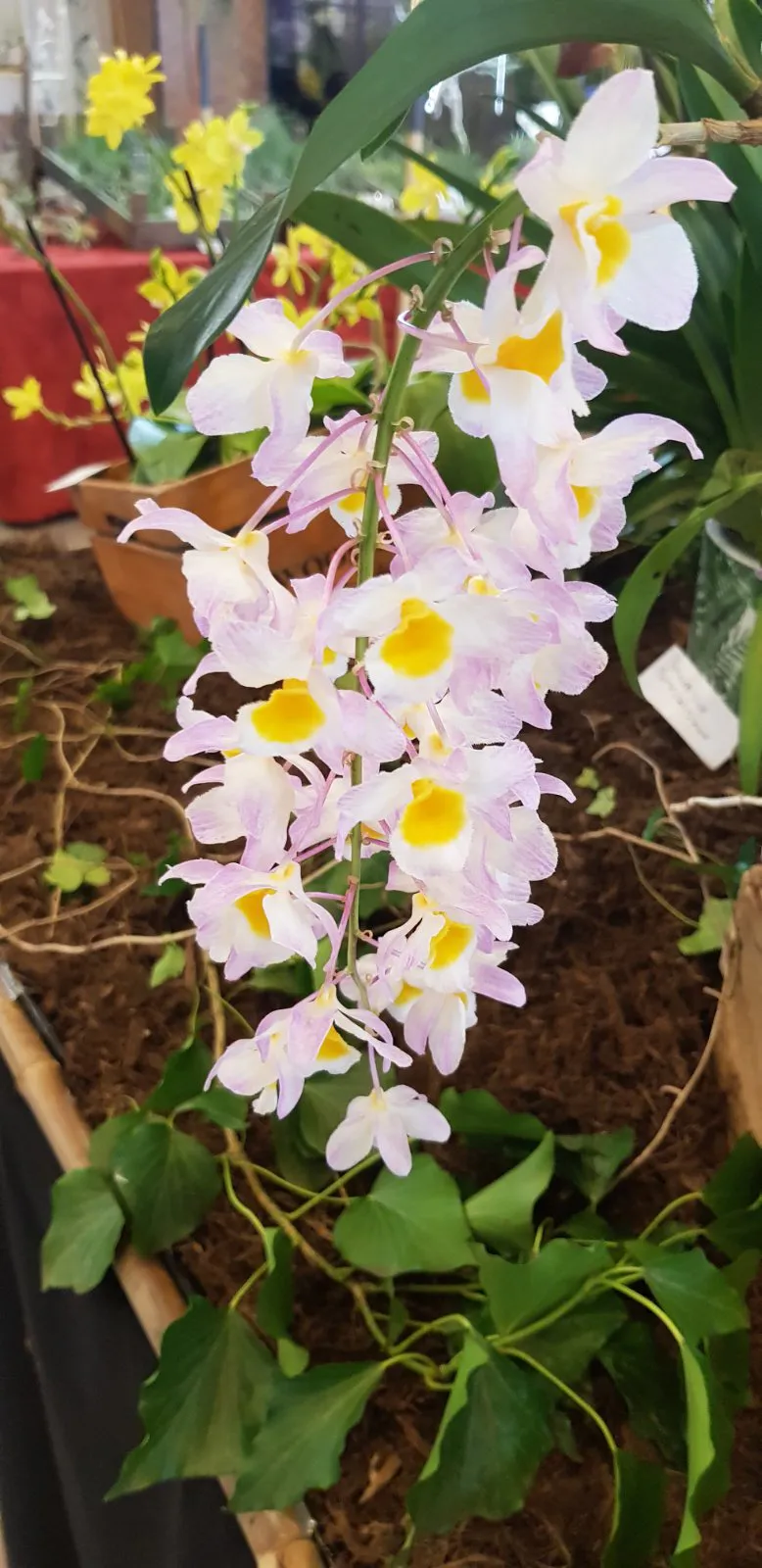 Media share 0 02 0a 1c49398e911f3072eae746849b9f502d9c6474ae1c3ef68b71c688472ead1312 5c090b3f 2368 45b9 878f eb4b700ee335