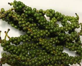 Media share 0 02 0a f1eec0848054efbcc03e777985eabaac7e7c3e06e86139e3bc289d375d81c881 d4000f51 bb7a 4c29 9f6c 1712e2aa65c1